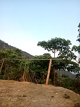 cutebobi online show from 11, 4, 2026