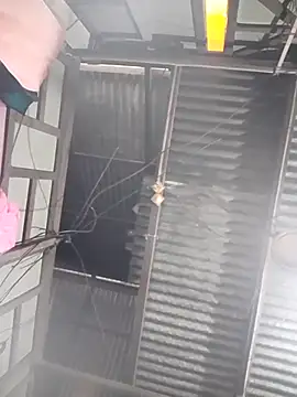 maisamim2 online show from 21, 3, 2026