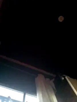 pleujunior online show from 11, 2, 2026