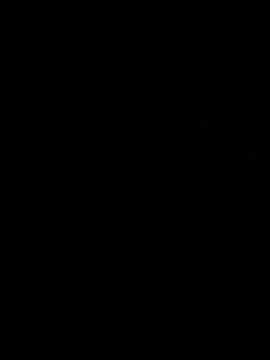 tony3729 online show from 2, 6, 2026