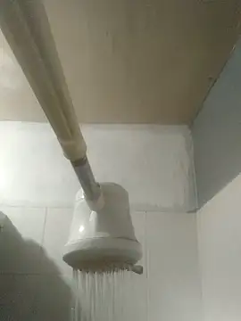 TU PITUDO FAV BB 19CM online show from 2, 3, 2026