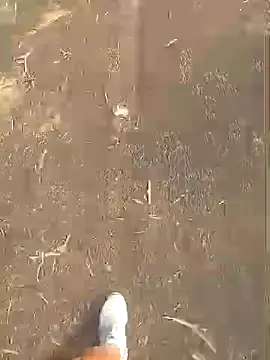 jhenyseducao online show from 18, 3, 2026