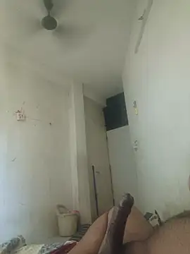 GTX-8194 online show from 27, 3, 2026