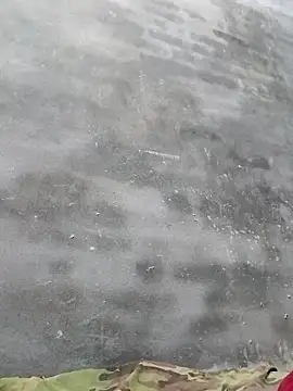 Sgs594802799 online show from 2, 4, 2026