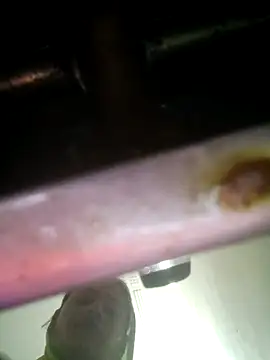 Snapshot of khushi_rawat chatting on 12, 2, 2026 khushi rawat online show from 12, 2, 2026