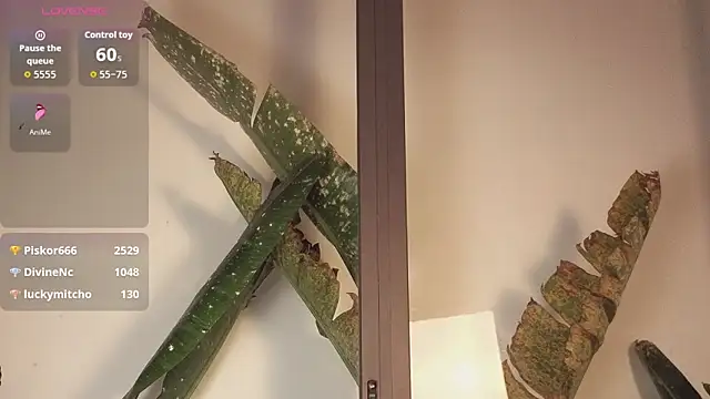 Snapshot of came-a-lot chatting on 22, 2, 2026 came-a-lot online show from 22, 2, 2026