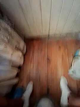 Snapshot of Franco10_- chatting on 15, 2, 2026 Franco10 - online show from 15, 2, 2026