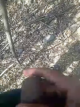 Cute Boy 4 online show from 23, 2, 2026