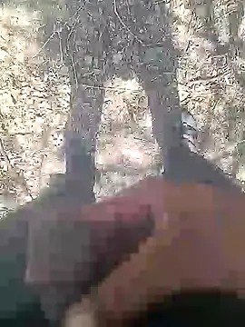 Cute Boy 4 online show from 25, 2, 2026