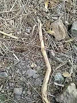 Cute Boy 4 online show from 8, 4, 2026