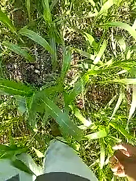 Cute Boy 4 online show from 13, 4, 2026