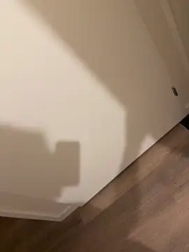 Snapshot of hottogetherNL chatting on 12, 2, 2026 hottogetherNL online show from 12, 2, 2026