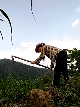 Tina-beo online show from 10, 4, 2026