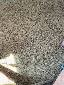 bwcjay2026 online show from 16, 3, 2026