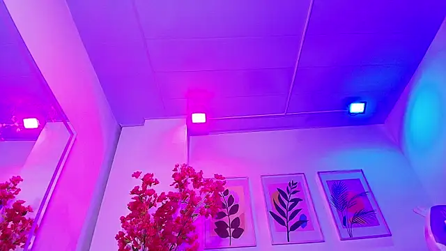 Maddie T18 online show from 4, 2, 2026