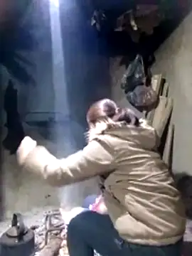 maimai1100 online show from 3, 2, 2026