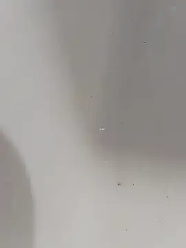 ONixCris online show from 13, 3, 2026