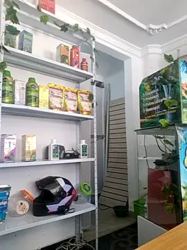 Tatianna Loove  online show from 14, 3, 2026