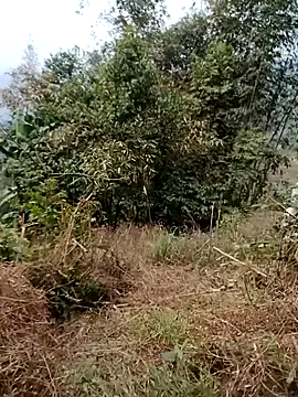 Snapshot of sushi-asa chatting on 24, 2, 2026 sushi-asa online show from 24, 2, 2026