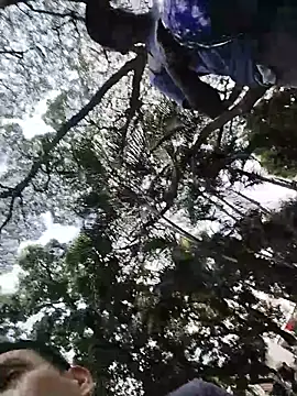 rejypool online show from 11, 4, 2026