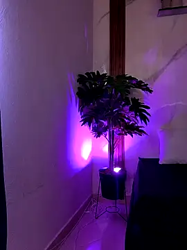 KATA-GAITAN online show from 27, 2, 2026