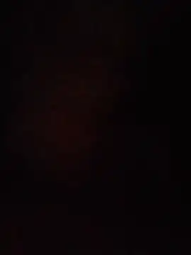 S7LEALTADPERVLIMA7 online show from 5, 7, 2026