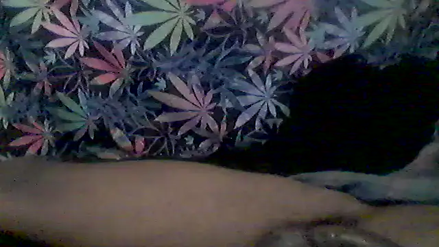 libraxxxstudios online show from 9, 6, 2026