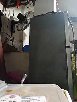 Snapshot of Wildcam21 chatting on 24, 2, 2026 Wildcam21 online show from 24, 2, 2026