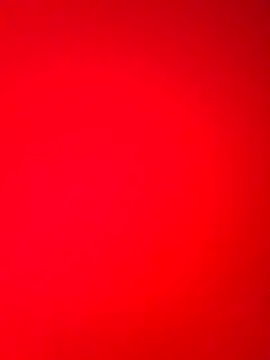 Snapshot of DocCock021 chatting on 18, 2, 2026 DocCock021 online show from 18, 2, 2026