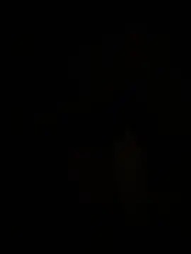 buzzingbud online show from 1, 3, 2026