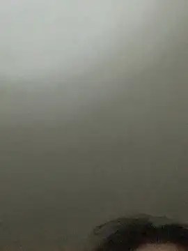 Rin-yiyi online show from 17, 2, 2026