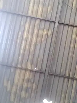 Linka998 online show from 27, 3, 2026