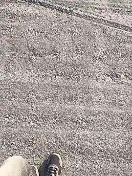 stallone italiano 62 online show from 23, 3, 2026