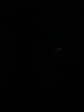 stallone italiano 62 online show from 10, 4, 2026