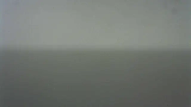 Thommas8a online show from 22, 2, 2026