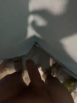 tardecaliente online show from 26, 2, 2026