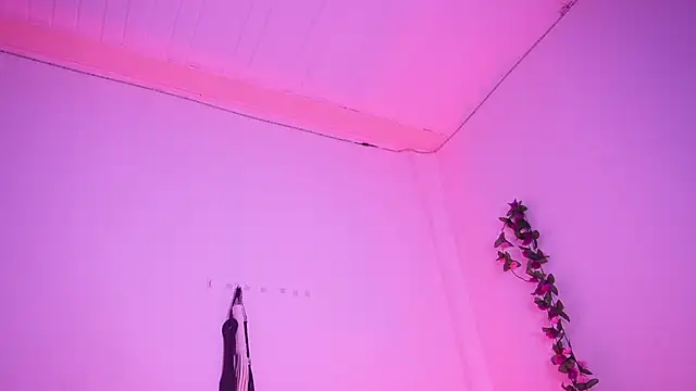 TiffanySander online show from 11, 4, 2026