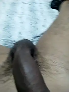 fabioveirolia online show from 15, 3, 2026