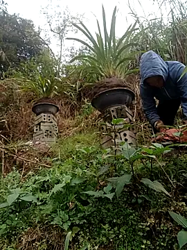 nelina 12345 online show from 15, 2, 2026