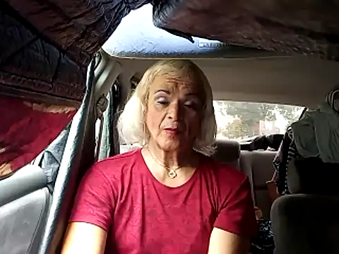 dustbunny64 online show from 24, 5, 2026