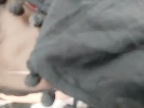 Snapshot of VeraVS chatting on 20, 2, 2026 VeraVS online show from 20, 2, 2026