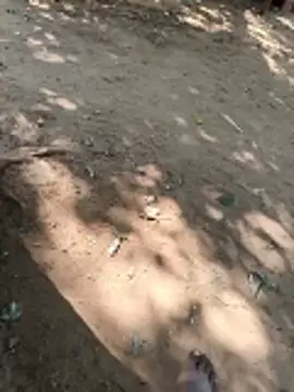 Locky kamani online show from 16, 2, 2026