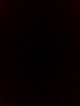 falcon2589 online show from 25, 2, 2026