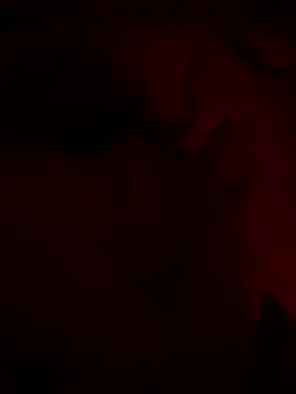 shark822 online show from 26, 2, 2026