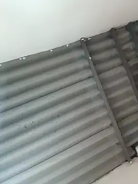 Little-Pussy19 online show from 24, 2, 2026