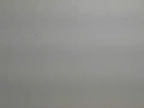 risu 00 online show from 6, 3, 2026