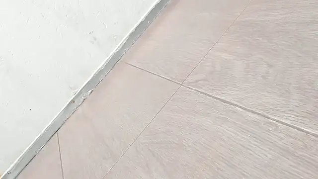 YUMEKO555 online show from 5, 4, 2026