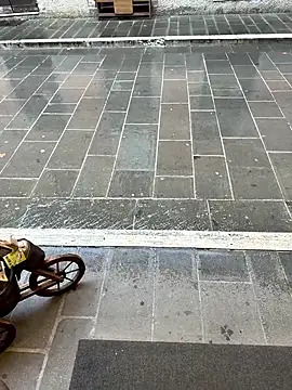 fre96 online show from 19, 2, 2026