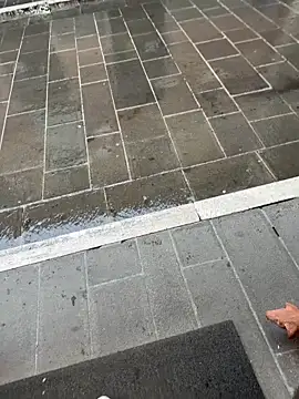 fre96 online show from 2, 3, 2026