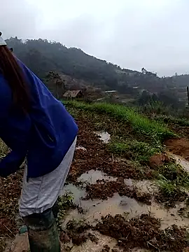 ngocbao11 online show from 6, 3, 2026